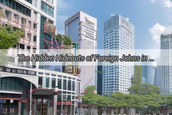 The Hidden Hideouts of Foreign Johns in Guangzhou A Stealthy Guide to the Citys Secret Scenes